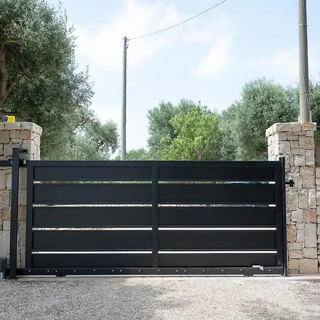 Euphorbia אוסטוני